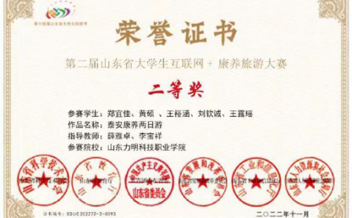 互联网康养旅游二等奖